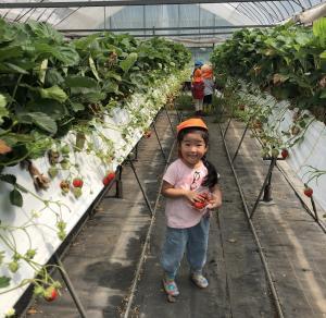 赤いイチゴに囲まれた子ども